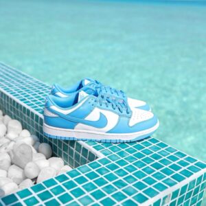 NIKE DUNK BLUE
